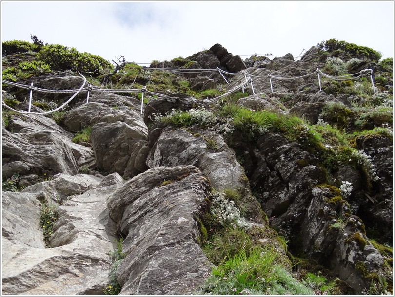 2012-07-11 13-39-05挺進五岩峰.JPG